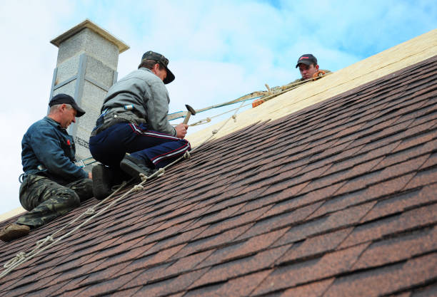 Best New Roof Installation  in Riley, KS